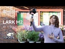 youtube - [Video]