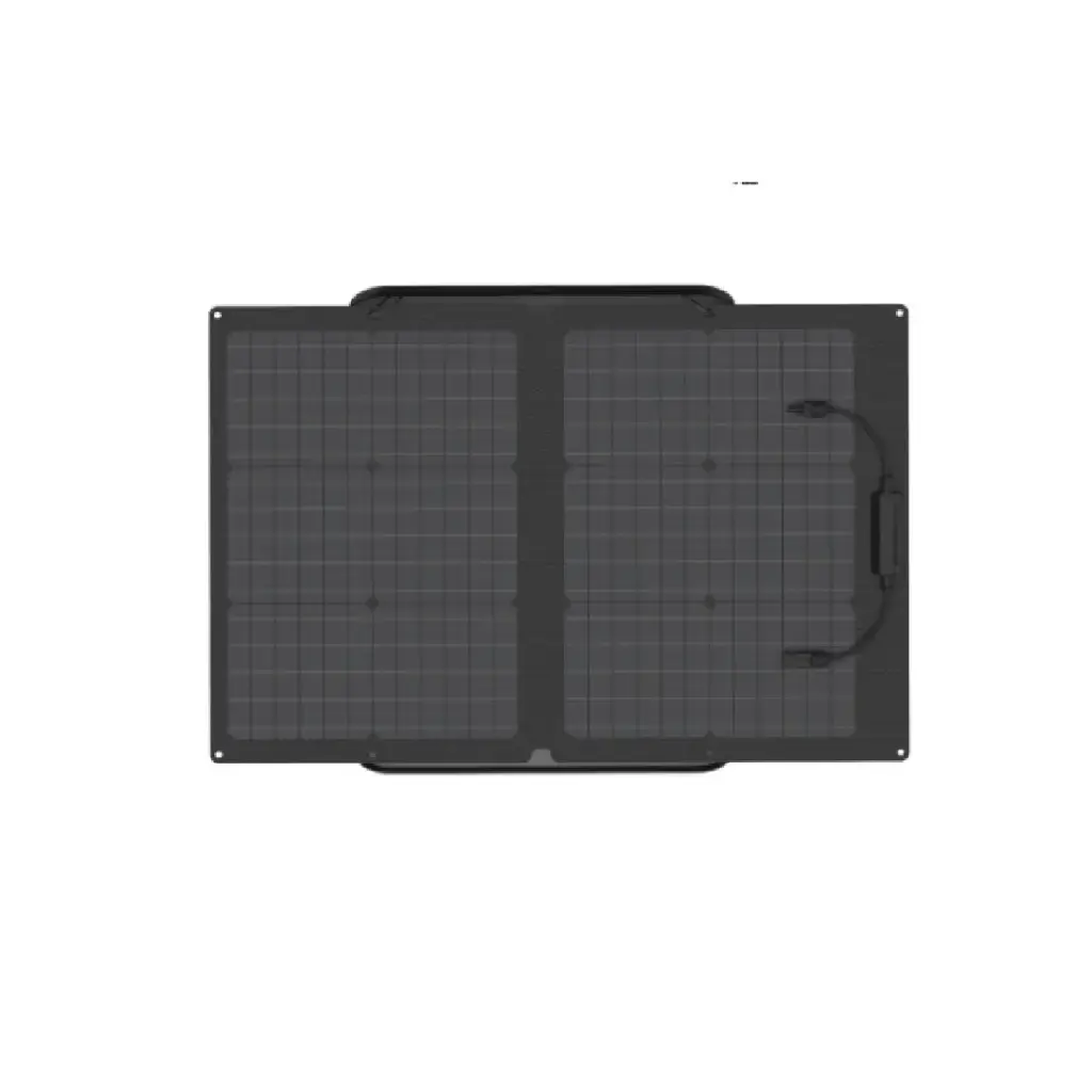 Panel Solar Ecoflow 60W Plegable